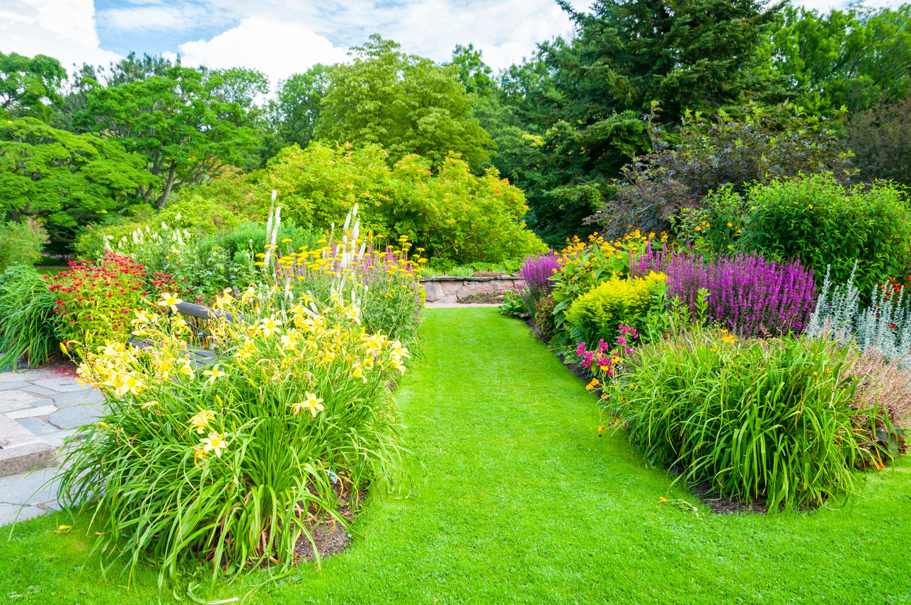 Summer park and lawn garden path